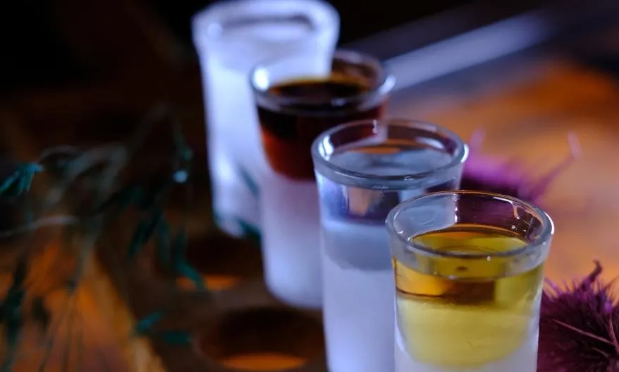 Shot